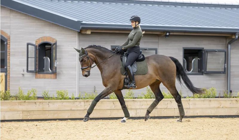 LeMieux Luxury Suede Dressage Pad in Oak Green-1